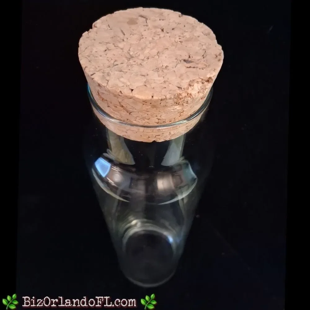VINTAGE: Clear Tall Glass Cylinder Bottle Terrarium With Cork Stopper